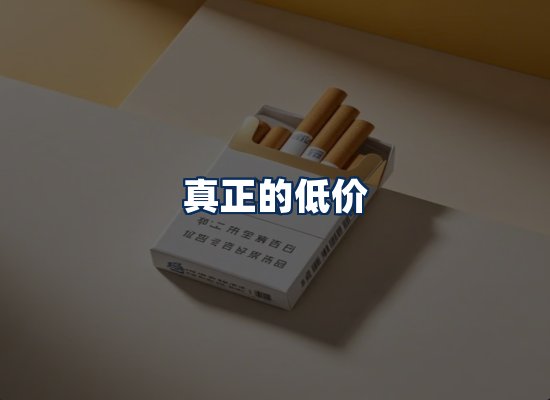 专业团队办公环境